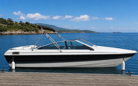 Bimini Top